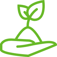 Повышенная биодоступность