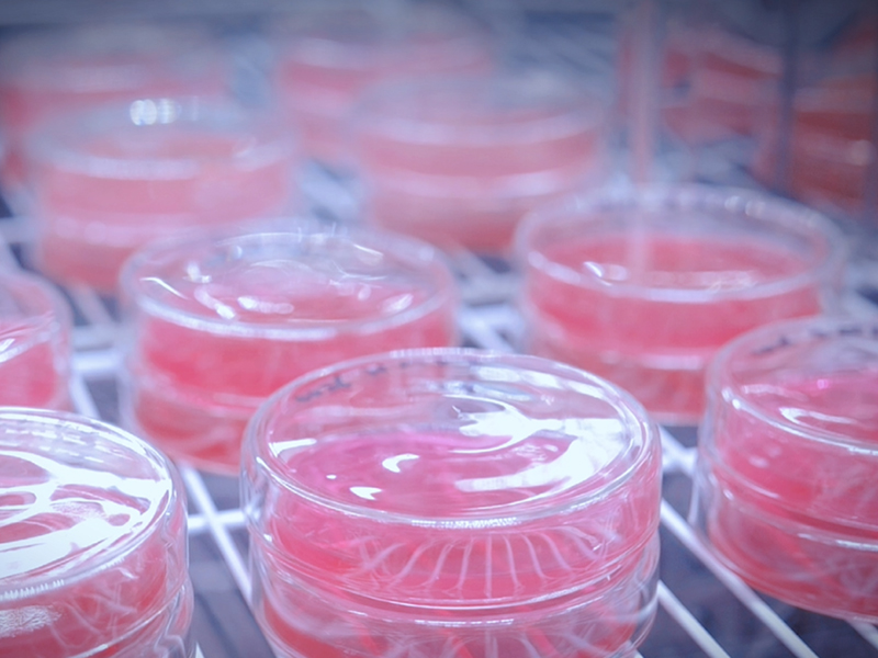 Проверка лаборатории третьей стороны