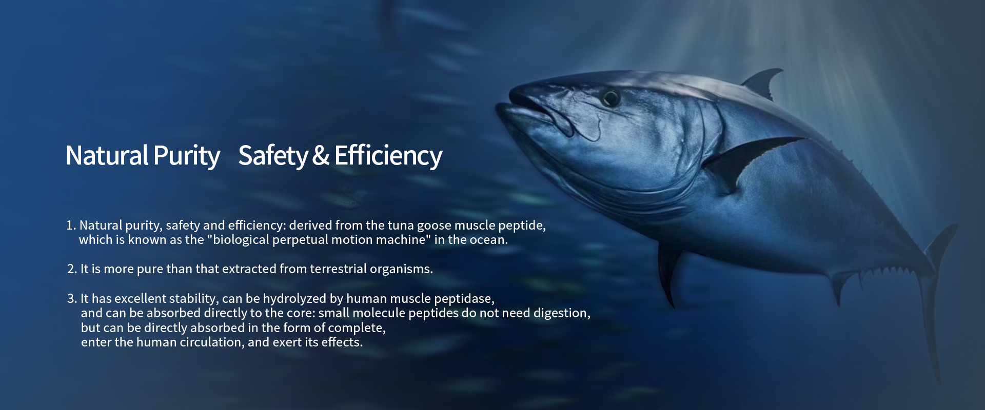 L-Anserine L-Anserine