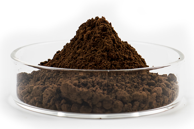 mushroom reishi powder
