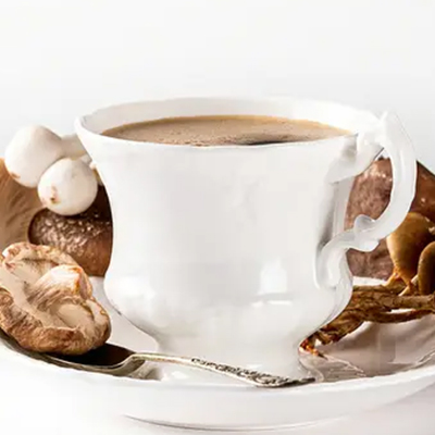 organic reishi powder