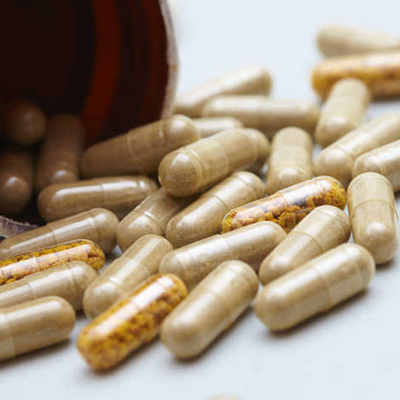 reishi mushroom powder