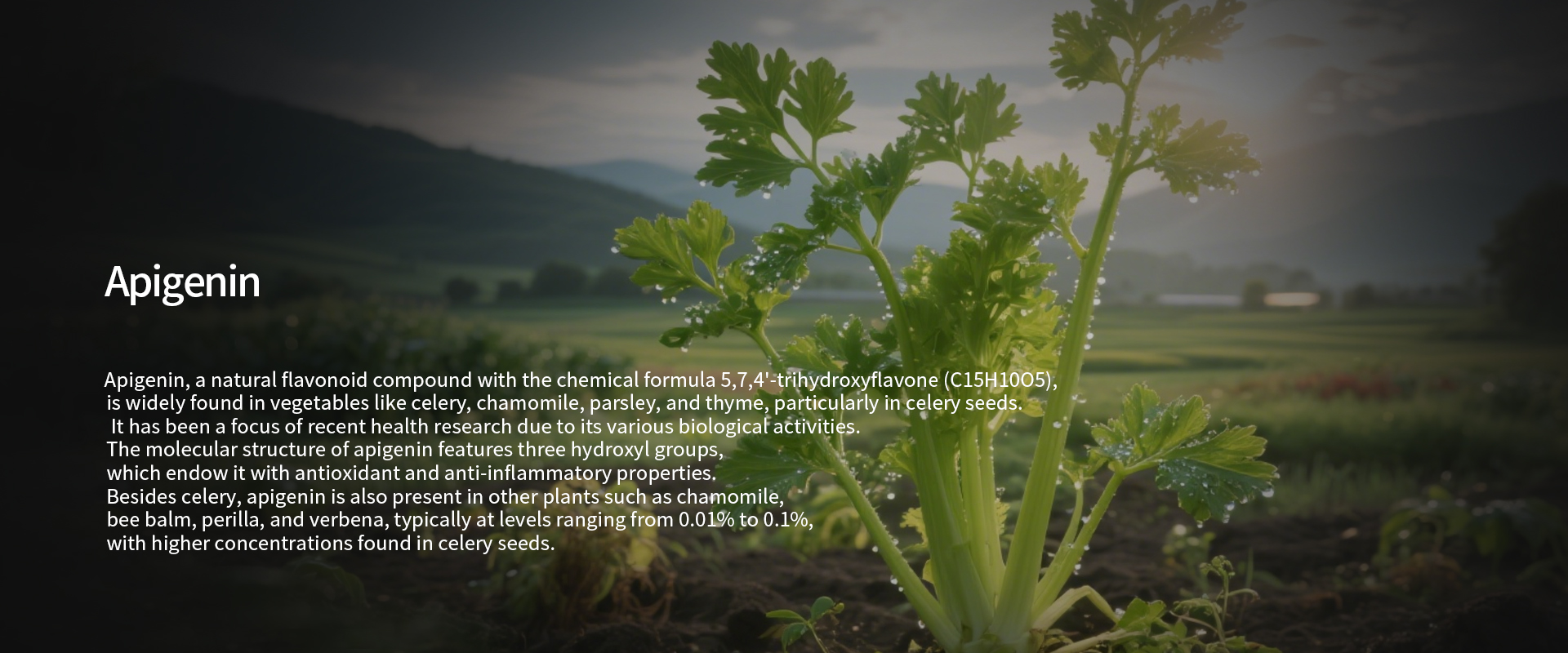 Apigenin-1.jpg