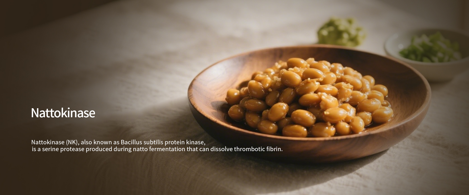 Nattokinase-1.jpg Nattokinase-1.jpg