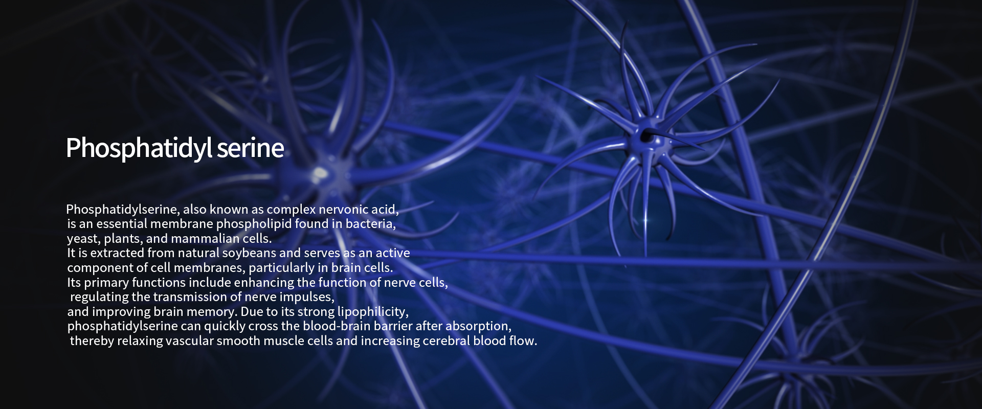 What is Phosphatidylserine What is Phosphatidylserine