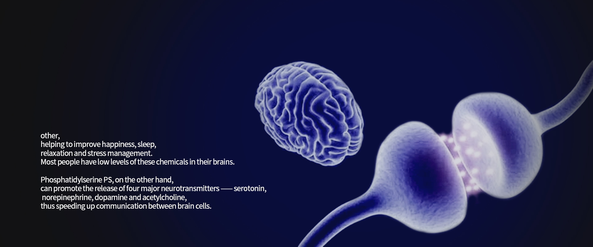 Phosphatidyl_serine-2.jpg Phosphatidyl_serine-2.jpg