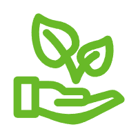 Повышение биодоступности