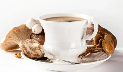 Органический лекарственный гриб экстракт рынка Panorama Insight: Текущее состояние, тенденции и движущие факторы