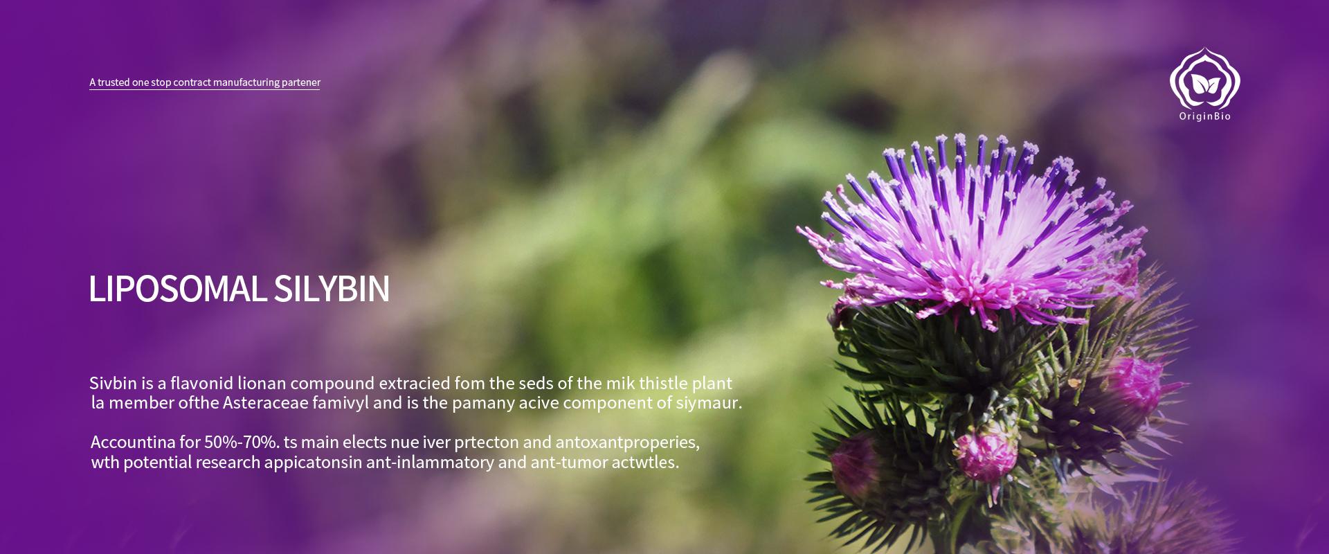 Liposomal_Silybin-1.jpg