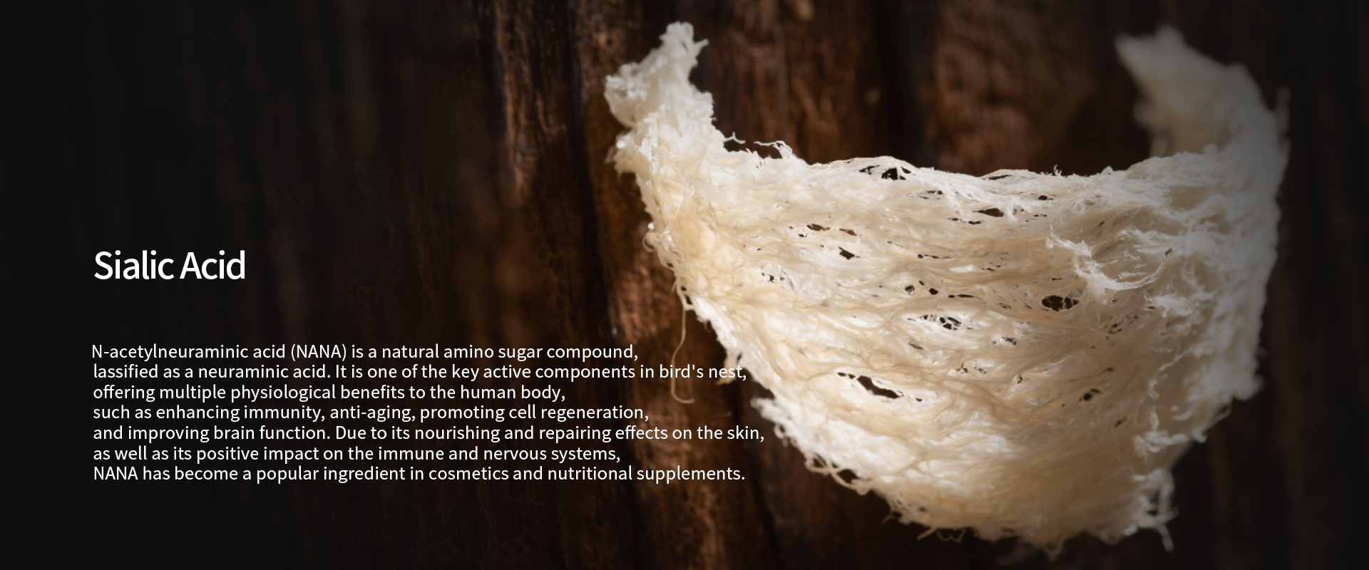 sialic_acid-1.jpg