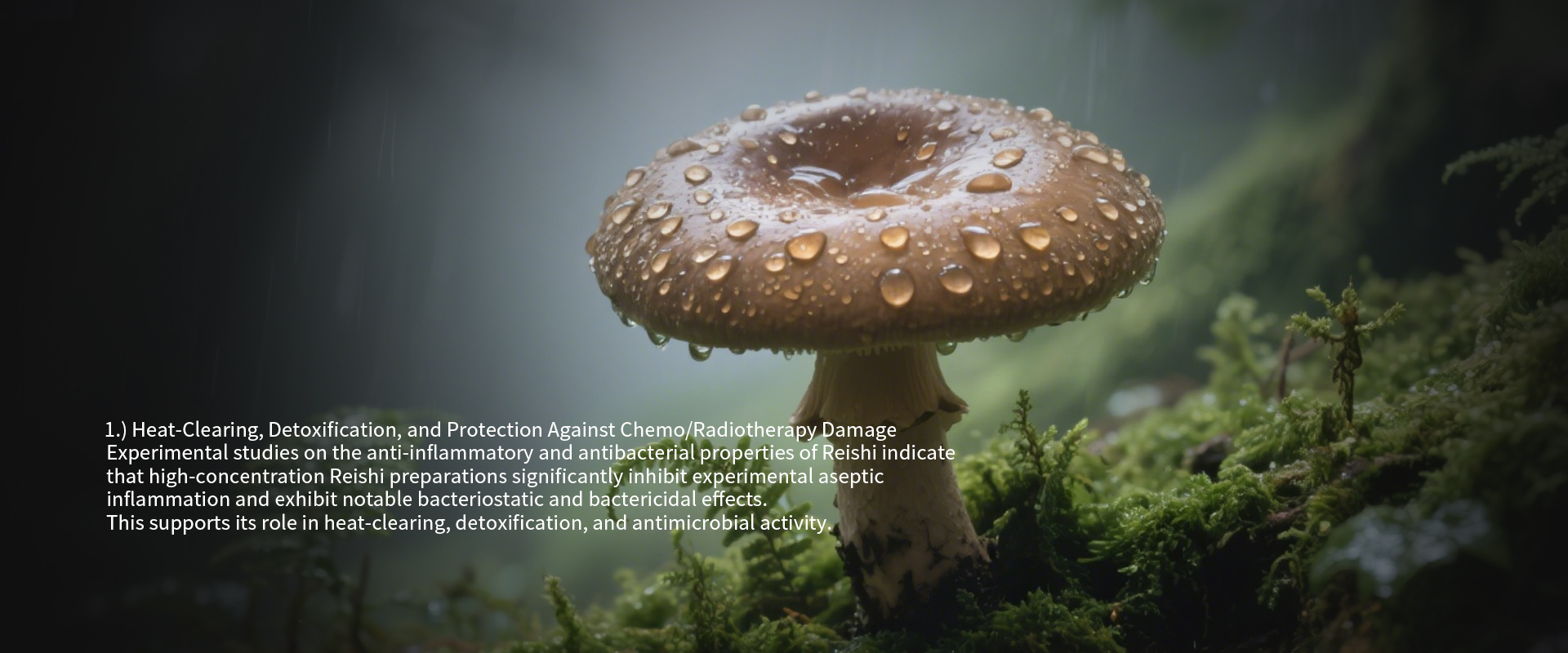 辅酶Q10-1-恢复的-恢复的_拷贝.jpg 辅酶Q10-1-恢复的-恢复的_拷贝.jpg