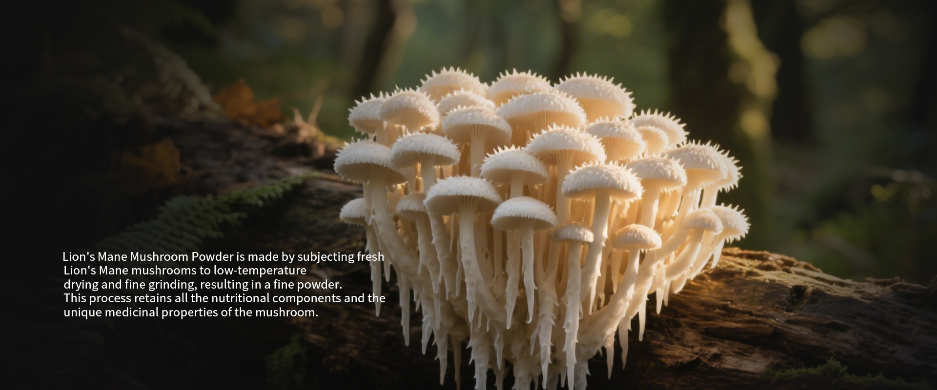 26546485468748.jpg 26546485468748.jpg