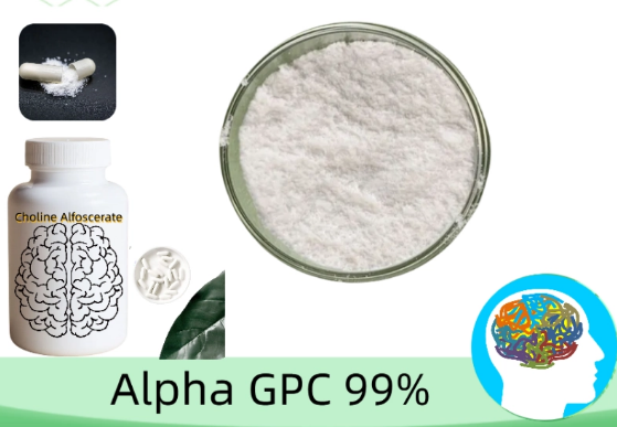 OriginBio_Wholesale__Alpha_GPC_Capsule_OEM_Private_Label_Supplier_For_Distributors.png OriginBio_Wholesale__Alpha_GPC_Capsule_OEM_Private_Label_Supplier_For_Distributors.png