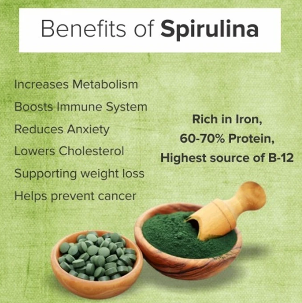 Bulk_Green_Spirulina_Tablets_No_Fishy_Smell_OEM_Dietary_Supplements_Manufacturer.png Bulk_Green_Spirulina_Tablets_No_Fishy_Smell_OEM_Dietary_Supplements_Manufacturer.png