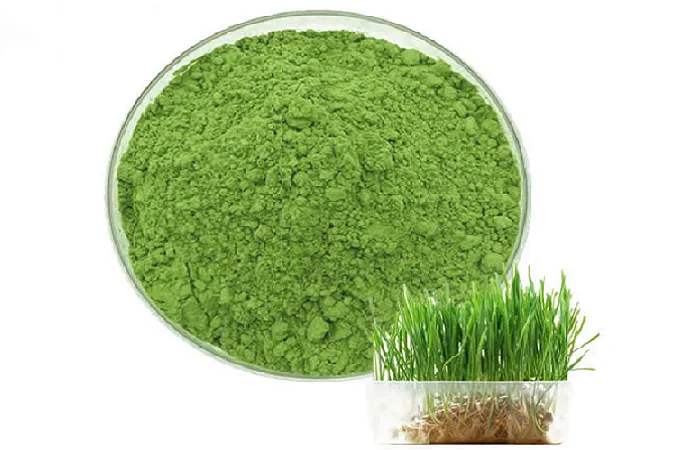 Сок Ячменя Порошок 80 Сетка