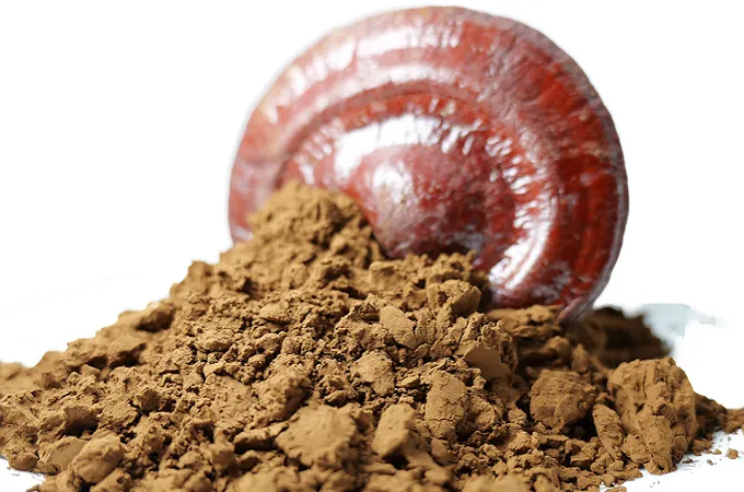 Ганодерма Лусидум Порошок 80 Сетка