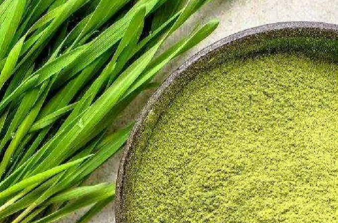 Органические Пырей Порошок 80 Сетка