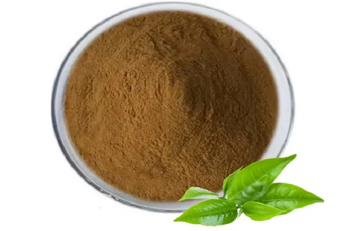 Экстракт зеленого чая 50%