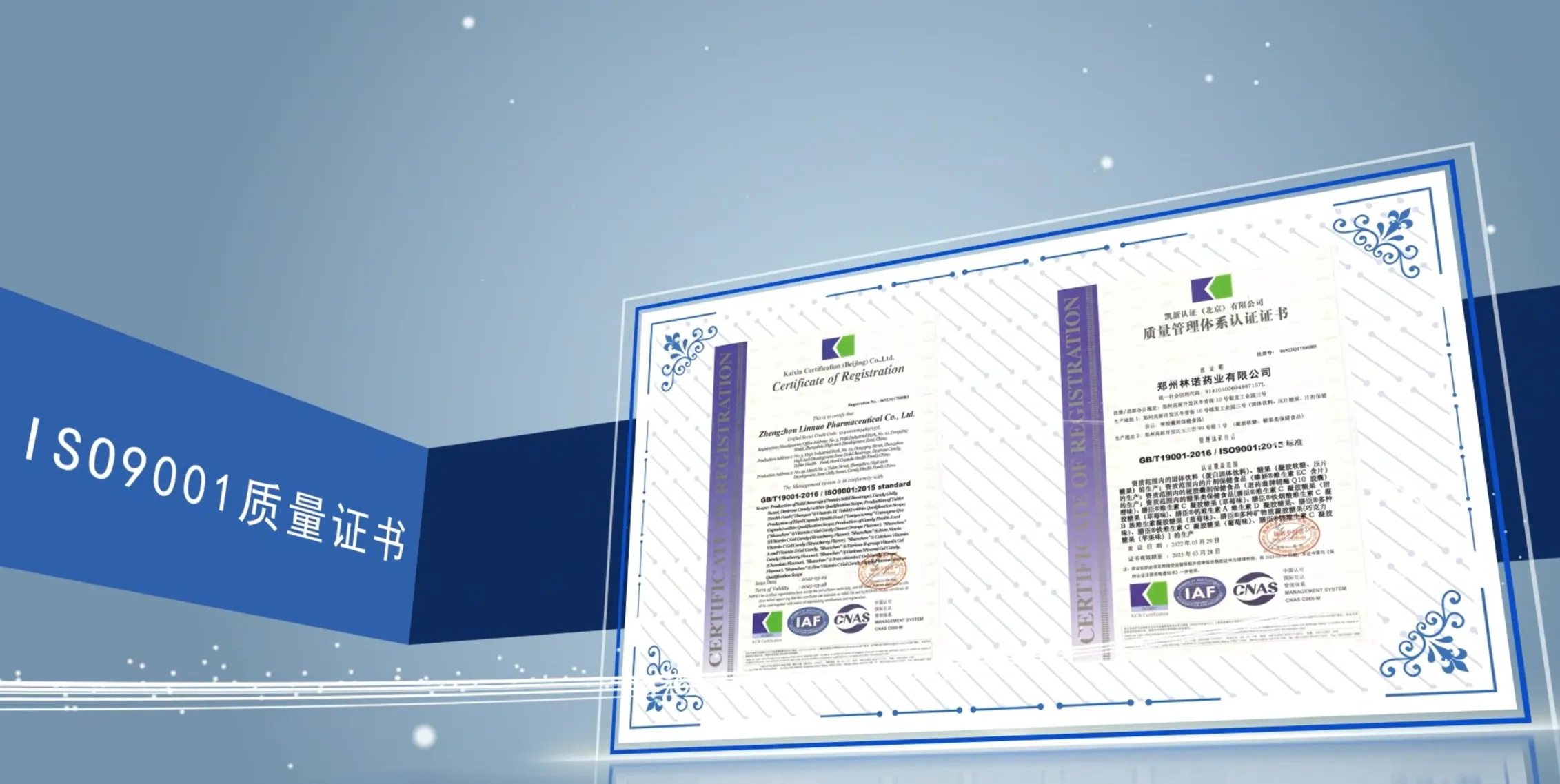 Сертификат ISO 9001